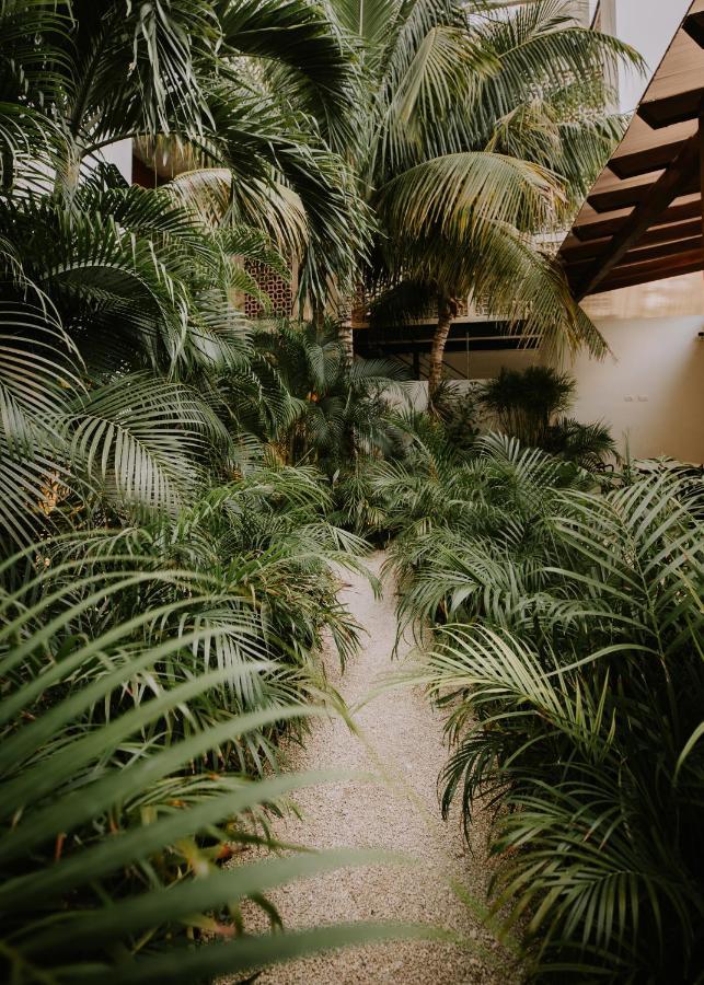 The Strabon Tulum Ξενοδοχείο Εξωτερικό φωτογραφία